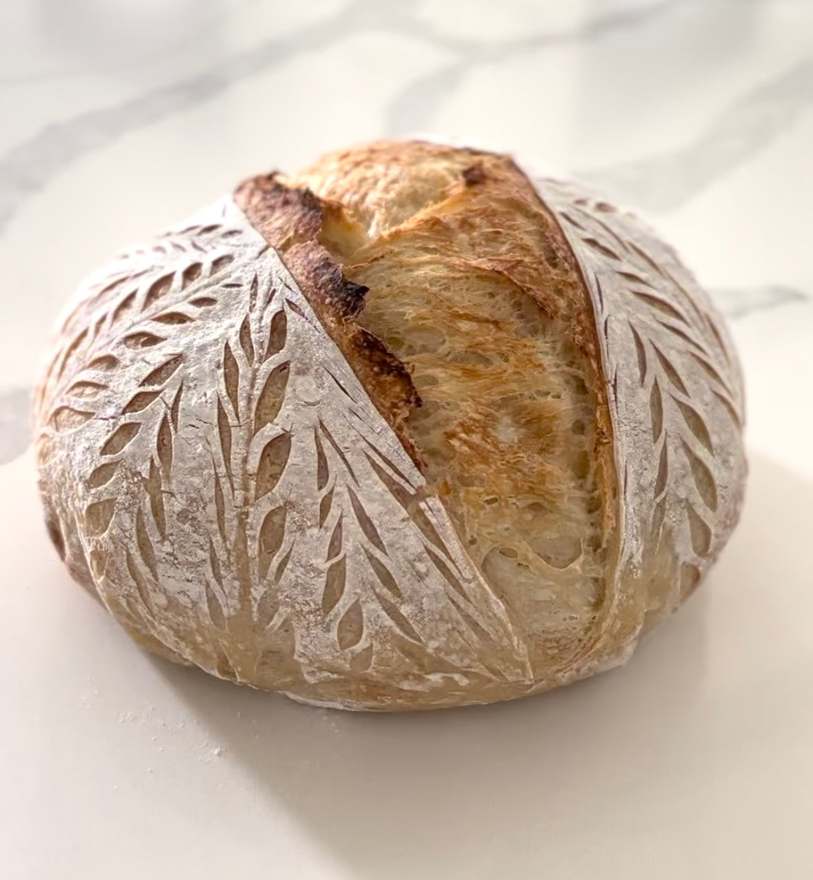 Sourdough Kit + Starter With Recipe & Educational Tutorials