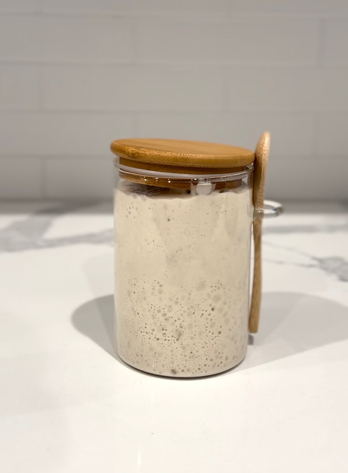 Dehydrated Sourdough Starter + Recipe