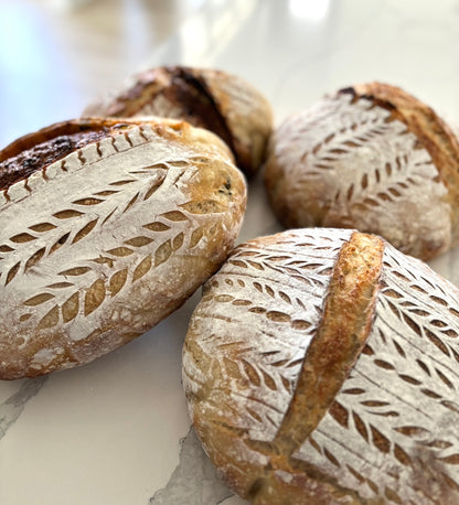 Sourdough Kit + Starter With Recipe & Educational Tutorials