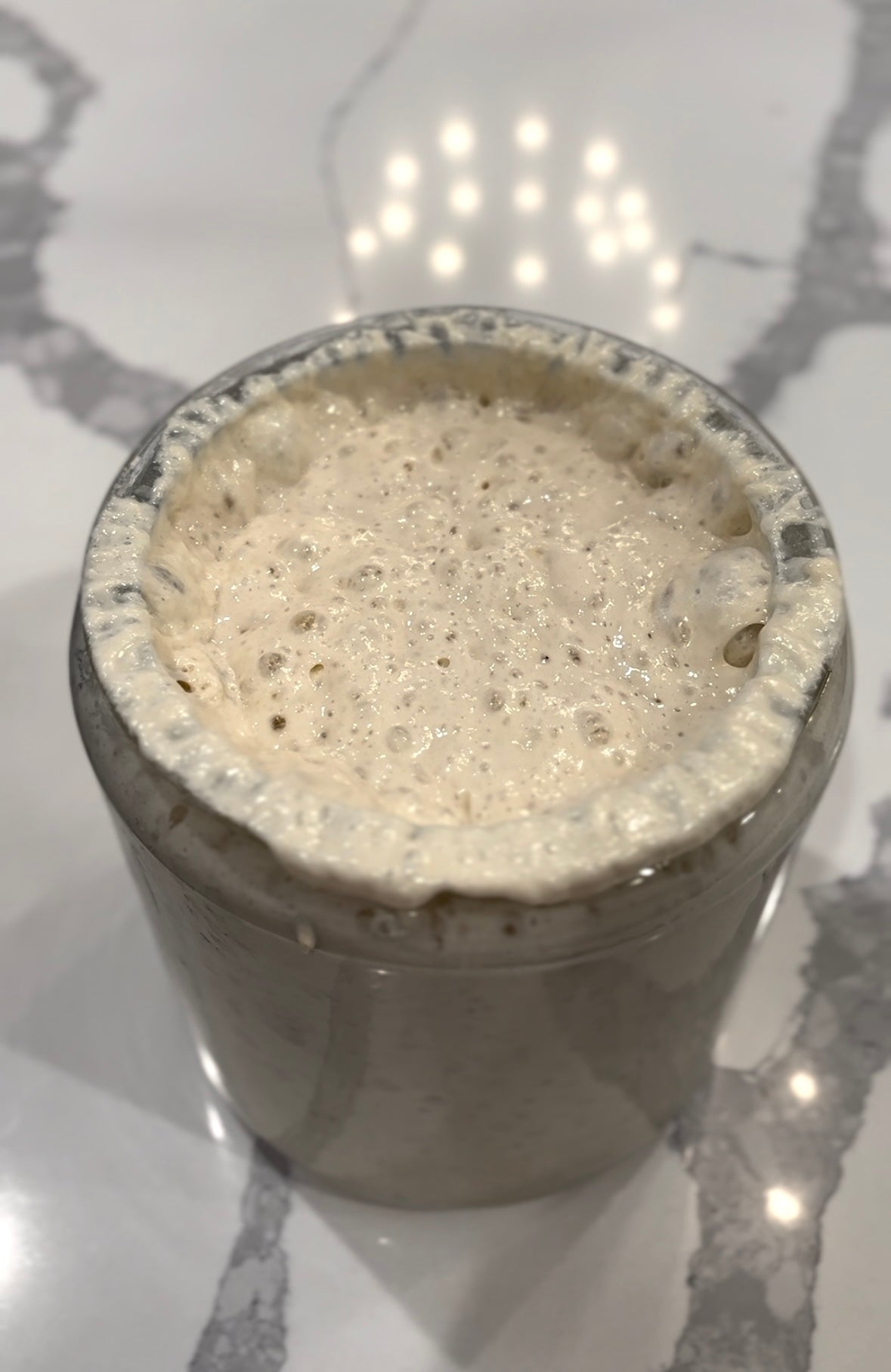 Dehydrated Sourdough Starter + Recipe