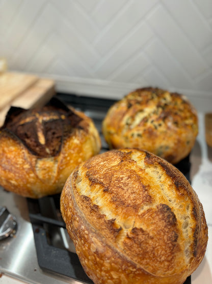 Sourdough Starter + Bread Sling